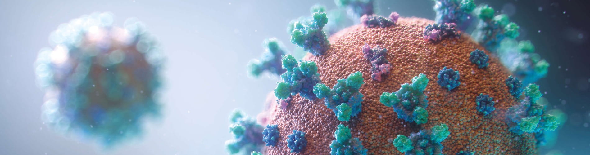 3d illustration of a corona virus